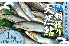 天然鮎 網獲り 冷凍 約1kg（約15匹～22匹）【 由良川の網獲り 由良川漁協 冷凍あゆ 冷凍鮎 高鮮度 冷凍 あゆ 鮎 魚 さかな 舞鶴 京都 】