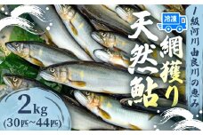 天然鮎 網獲り 冷凍 約2kg（約30匹～44匹）【 由良川の網獲り 由良川漁協 冷凍あゆ 冷凍鮎 高鮮度 冷凍 あゆ 鮎 魚 さかな 舞鶴 京都 】