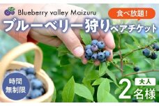 【6月～8月】 ブルーベリー狩り ペアチケット 【時間無制限・食べ放題】 | ブルーベリー 果物 フルーツ狩り 中学生以上 摘み取り 体験 チケット ペア 時間 無制限 食べ 放題 関西 京都 舞鶴