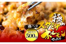 【タレ揉み】 極みの スタミナ ホルモン マルチョウ 500g 250×2袋 小分け タレ付き | ほるもん 牛肉 牛ホルモン モツ 丸腸 まるちょう 焼き肉 BBQ 味付け肉 キャンプ アウトドア 京都 舞鶴