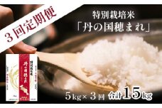 【定期便】令和7年度産 新米 特別栽培米 コシヒカリ 丹の国穂まれ 精米 5kg×3回 | 15kg 京都府 中丹 舞鶴 綾部 福知山 こしひかり お米 白米 ご飯 米 主食 白ご飯 農協 JA お米の定期便