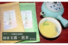 綾部玉露・煎茶のセット 各100g 【 国産 日本茶 セット お茶セット お茶 綾部茶 玉露 煎茶 お土産 ギフト 贈り物 プレゼント 詰め合わせ セット 農家直送 京都 綾部 】
