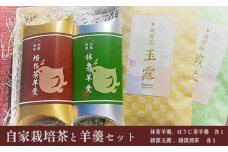 茶園の自家栽培茶と特製綾部茶ようかんのセット（ 抹茶ようかん / ほうじ茶ようかん / 綾部玉露 / 綾部煎茶 ）【 国産 農家直送 日本茶 茶 お茶 綾部茶 ようかん 羊羹 ギフト お茶請け 贈り物 プレゼント 和菓子 セット 贈答品 お土産 スイーツ 京都 綾部 】