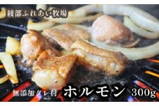 ホルモン焼き 300g（3～4人前）京都牛と牧場の無添加たれで作るホルモン焼き 牛 牛肉 ホルモン ほるもん ホルモン焼き お土産 BBQ アウトドア パーティー 焼くだけ 簡単 京都 綾部