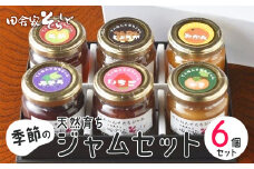 天然育ち季節のジャム 6個 【 ジャム ジャムセット 季節のジャム 国産 果物 フルーツ 手みやげ お返し 内祝い お中元 お歳暮 プレゼント 詰め合わせ セット 贈答 贈り物 ギフト 京野 綾部 】