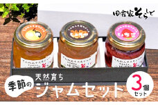天然育ち季節のジャム 3個 【 ジャム ジャムセット 季節のジャム 国産 果物 フルーツ 手みやげ お返し 内祝い お中元 お歳暮 プレゼント 詰め合わせ セット 贈答 贈り物 ギフト 京野 綾部 】
