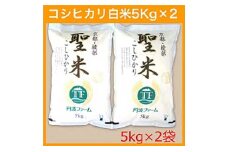 令和6年産 京都府産コシヒカリ 「聖米」 白米 10kg (5kg×2) 【お米 米 白米 精米 こしひかり 綾部こしひかり 綾部米 ごはん ご飯 ふっくら もちもち 甘味 旨味 安心安全 国産 京都 京都産 綾部 綾部市】