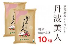 京都府産コシヒカリ「丹波美人」白米 10kg （5kg×2）【お米 米 白米 精米 令和6年度産 こしひかり 綾部こしひかり 綾部米 ごはん ご飯 ふっくら もちもち 甘味 旨味 国産 京都 京都産 綾部 綾部市 】