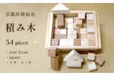 綾部市産スギ、ヒノキを使用した積み木（54ピース） 手作り 国産 子供 木育 木材 森林組合 木材加工 お子様 杉 檜 京都 綾部