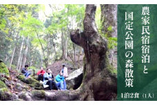 【体験】農家民宿宿泊と国定公園の森散策チケット【1泊2日2食】宿泊 綾部旅行 綾部トラベル 農家民宿 森散策 散策 散歩 自然 観光 京都 綾部 