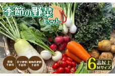 無農薬 季節の野菜セットM（約4kg）【 国産 旬 季節の野菜 詰め合わせ セット 農薬不使用 無農薬 産地直送 京野菜 京都 綾部 】