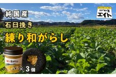 純国産 石臼挽き 練り和がらし3個セット 【 国産 からし 和辛子 辛子 石臼挽き 練りからし セット 和がらし 詰め合わせ ギフト 農家直送 贈答 プレゼント 京都 綾部 】