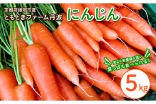 丸かじりできる！甘いにんじん(約5kg)【発送時期：6月末〜7月末頃】丸かじり 甘い 人参 安心 安全 季節の野菜 新鮮 農薬不使用 フルーティ 京都 綾部 農家直送 5kg ジュース 緑黄色野菜 野菜 美肌 美白 5キロ 葉 葉っぱ 葉付き にんじん 丸ごと まるごと 赤ちゃん 国産 無農薬 離乳食