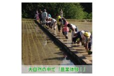 【農業体験（1名様）】無農薬野菜のプロフェッショナルと一緒に、楽しく充実のひと時を共に過ごしましょう！【 体験 農業体験 畑 無農薬 野菜 収穫 畑 農園 京都 綾部 】