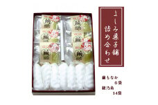 よしみ菓子舗 詰め合わせ（繭もなか6袋＋綾乃糸14本）【 和菓子 スイーツ デザート セット もなか 最中 老舗 個包装 お茶請け 贈答 贈り物 ギフト プレゼント 京都 綾部 】