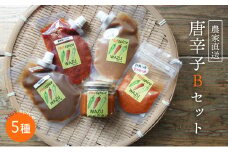 国産 唐辛子5種セット（ 赤柚子胡椒 / 一味(鷹の爪) / 南蛮味噌 / にんにく味噌 / アリッサ ） 【 農家直送 唐辛子みそ トウガラシ とうがらし 自家栽培 スパイス 詰め合わせ 唐辛子セット 京都 綾部 】
