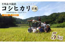 【R7年度 新米先行予約】 京都府産 低農薬 有機栽培コシヒカリ5kg 【 米 5キロ 精米 白米 こめ コメ お米 おこめ こしひかり 井上吉夫 米農家 有機栽培米 有機栽培 農家直送 減農薬 綾部市 京都府 】