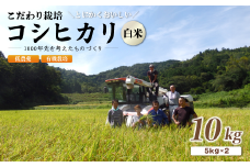 【R7年度 新米先行予約】 京都府産 低農薬 有機栽培コシヒカリ10kg【 米 10キロ 精米 白米 こめ コメ お米 おこめ こしひかり 井上吉夫 米農家 有機栽培米 有機栽培 農家直送 減農薬 綾部市 京都府 】