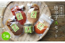 国産 唐辛子5種セット（ 青柚子胡椒 / 一味(鷹の爪) / 南蛮味噌 / にんにく味噌 / アリッサ ） 【 農家直送 唐辛子みそ トウガラシ とうがらし 自家栽培 スパイス 詰め合わせ 唐辛子セット 京都 綾部 】