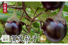 【6月発送】賀茂茄子 6個 1.5kg 【 国産 京野菜 旬 季節の野菜 季節限定 野菜 茄子 なす ナス かもなす 賀茂なす 丹州 農家直送 産地直送 京ブランド野菜 綾部 京都 】