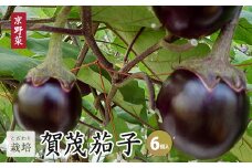 【7月発送】賀茂茄子 6個 1.5kg 【 国産 京野菜 旬 季節の野菜 季節限定 野菜 茄子 なす ナス かもなす 賀茂なす 丹州 農家直送 産地直送 京ブランド野菜 綾部 京都 】