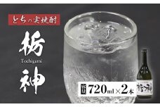 【限定生産】とちの実を使った焼酎「栃神」720ml×2本 【 焼酎 贈答 プレゼント 贈り物 とちの実 栃の実 お土産 綾部 京都 】