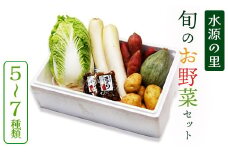 京都府産 季節の野菜セット 5～7品目【 綾部 京都 野菜セット 野菜 旬 野菜詰め合わせ 産地直送 食べ比べ 国産 季節の野菜 詰め合わせ セット 】