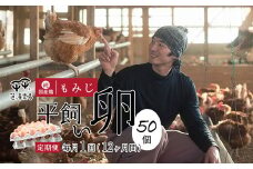 【定期便12ヶ月】 平飼いたまご 50個×12ヶ月間 【 卵定期便 たまご定期便 平飼い卵 非遺伝子組み換え たまご タマゴ 平飼い 卵 国産 もみじ 京都 蓮ヶ峯農場 たまごかけごはん 卵かけごはん たまごかけご飯 綾部 】