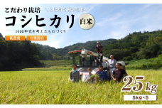 【R7年度 新米先行予約】 京都府産 低農薬 有機栽培コシヒカリ25kg【 米 25キロ 精米 白米 こめ コメ お米 おこめ こしひかり 井上吉夫 米農家 有機栽培米 有機栽培 農家直送 減農薬 綾部市 京都府 】