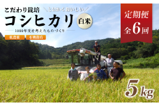 【定期便6回】【R7年度 新米先行予約】 有機栽培コシヒカリ白米 5kg 京都府産 低農薬 毎月お届け 6ヶ月 【 米 5キロ 精米 白米 こめ コメ お米 おこめ こしひかり 井上吉夫 米農家 有機栽培米 有機栽培 農家直送 減農薬 綾部市 京都府 】
