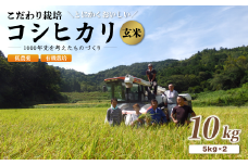 【R7年度 新米先行予約】 京都府産 低農薬 有機栽培コシヒカリ玄米 10kg【 米 10キロ 玄米 こめ コメ お米 おこめ こしひかり 食物繊維 栄養 真空パック 井上吉夫 米農家 有機栽培米 有機栽培 農家直送 減農薬 綾部市 京都府 】