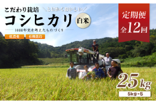 【定期便12回】【R7年度 新米先行予約】 有機栽培コシヒカリ白米 25kg 京都府産 低農薬 毎月お届け 12ヶ月【 米 25キロ 精米 白米 こめ コメ お米 おこめ こしひかり 井上吉夫 米農家 有機栽培米 有機栽培 農家直送 減農薬 綾部市 京都府 】