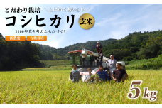【R7年度 新米先行予約】 京都府産 低農薬 有機栽培コシヒカリ玄米 5kg【 米 5キロ 玄米 こめ コメ お米 おこめ こしひかり 食物繊維 栄養 真空パック 井上吉夫 米農家 有機栽培米 有機栽培 農家直送 減農薬 綾部市 京都府 】