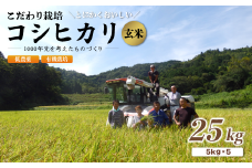 【R7年度 新米先行予約】 京都府産 低農薬 有機栽培コシヒカリ玄米 25kg【 米 25キロ 玄米 こめ コメ お米 おこめ こしひかり 食物繊維 栄養 真空パック 井上吉夫 米農家 有機栽培米 有機栽培 農家直送 減農薬 綾部市 京都府 】