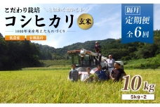【定期便6回隔月お届け】【R7年度 新米先行予約】 有機栽培コシヒカリ玄米 10kg×6回(隔月) 京都府産 低農薬 隔月お届け 【 定期便 隔月 米 10キロ 玄米 こめ コメ お米 おこめ こしひかり 食物繊維 栄養 真空パック 井上吉夫 米農家 有機栽培米 有機栽培 農家直送 減農薬 綾部市 京都府 】