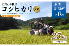 【定期便6回隔月お届け】【R7年度 新米先行予約】 有機栽培コシヒカリ玄米 25kg×6回(隔月) 京都府産 低農薬 隔月お届け 【 定期便 隔月 米 25キロ 玄米 こめ コメ お米 おこめ こしひかり 食物繊維 栄養 真空パック 井上吉夫 米農家 有機栽培米 有機栽培 農家直送 減農薬 綾部市 京都府 】