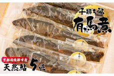 子持ち鮎の有馬煮 5匹 【 京都 綾部 あゆ 鮎 子持ち鮎 魚 個包装 小分け 冷凍 ギフト gift プレゼント 贈答 贈り物 ギフトbox 旬 おすすめ 】
