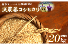 【令和7年度産 先行予約】 減農薬コシヒカリ 玄米 20kg 【 米 コシヒカリ こしひかり 20キロ 20kg 玄米 こめ コメ お米 おこめ 農家直送 減農薬 低農薬 綾部 京都 森本ファーム 】