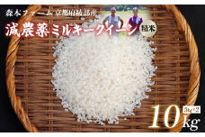 【令和7年度産 先行予約】 減農薬ミルキークイーン 精米 10kg【 米 ミルキークイーン 10キロ 10kg 精米 白米 こめ コメ お米 おこめ 減農薬 低農薬 農家直送 綾部 京都 森本ファーム 】