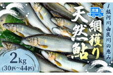 天然鮎 網獲り 冷凍 約2kg（約30匹～44匹）【 由良川の網獲り 由良川漁協 冷凍あゆ 冷凍鮎 高鮮度 冷凍 あゆ 鮎 魚 さかな 綾部 京都 】