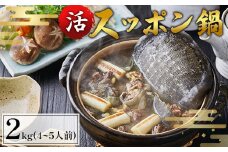 【2月お届け】綾部で育てた！！スッポン鍋 2kg （4～5人前） 【 国産 活スッポン 健康 スッポン スッポン鍋 スッポン鍋セット すっぽん 鍋 滋養強壮 コラーゲン 京都 綾部 】