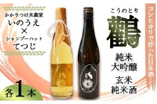 ≪数量限定≫  純米大吟醸 生原酒 ＆ 玄米純米酒 生原酒 鸛 （こうのとり） 720ml 各1本 【 こしひかりで作った日本酒 お酒 日本酒 お酒 芸人 シャンプーハット てつじ かかりつけ農家いのうえ 限定 希少 プレゼント ギフト 贈答 晩酌 京都 綾部 】