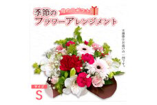 【母の日】 フラワーアレンジメント（S） | 花 お花 生花 フラワー フラワーアレンジメント 花束 母の日限定 母の日ギフト 配送地域限定 京都府 綾部市