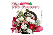 【クリスマス】 フラワーアレンジメント（S） | 花 お花 生花 フラワー フラワーアレンジメント 花束 クリスマス限定 配送地域限定 京都府 綾部市