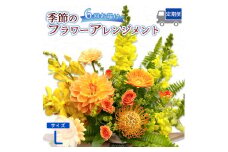 【6回定期便】 季節のフラワーアレンジメント （L） | 発送月固定 花 お花 生花 フラワー フラワーアレンジメント 花束 花の定期便 定期便 6回 配送地域限定 京都府 綾部市