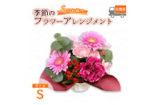 【6回定期便】 季節のフラワーアレンジメント （S） | 発送月固定 花 お花 生花 フラワー フラワーアレンジメント 花束 花の定期便 定期便 6回 配送地域限定 京都府 綾部市