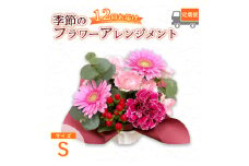 【12回定期便】 季節のフラワーアレンジメント （S） | 発送月固定 花 お花 生花 フラワー フラワーアレンジメント 花束 花の定期便 定期便 12回 配送地域限定 京都府 綾部市