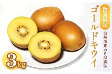 ≪先行予約≫ ゴールドキウイ 3kg （30個前後）【 京都 綾部 キウイ フルーツ ゴールド 3キロ 果物 フルーツ デザート 農家直送 国産 産地直送 旬 】