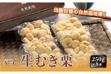 《12月発送》京栗 生むき栗 冷凍  2kg（250g×8袋）【 京都 綾部 丹波栗 自然栽培 農家直送 国産 無農薬 果物 フルーツ くり 栗 小分け 個包装 】 