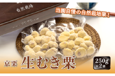 《11月中旬以降発送》京栗 生むき栗 冷凍  500g（250g×2袋）【 京都 綾部 丹波栗 自然栽培 農家直送 国産 無農薬 果物 フルーツ くり 栗 】 